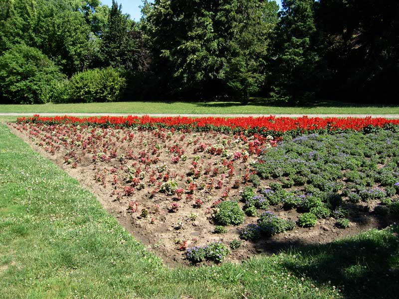 Футошки парк в Нови-Саде между улицей Футошка и отелем Park Футошки парк в Нови-Саде между улицей Футошка и отелем Park. Фото: Novisad.cc